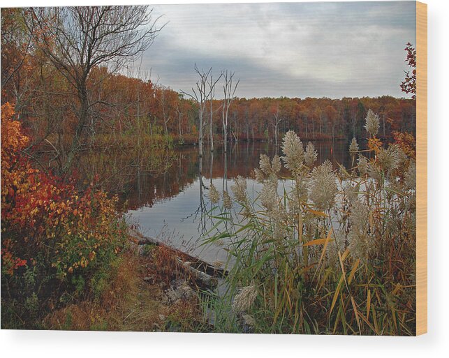 Bradley Wood Print featuring the photograph Fall Colors at the Reservoir by Rich Despins