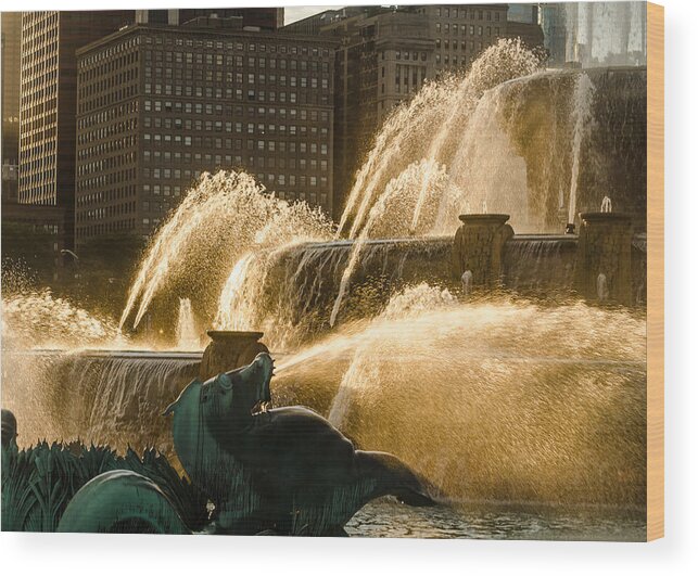 Buckingham Fountain Wood Print featuring the photograph Fall Fountain by Tom Potter