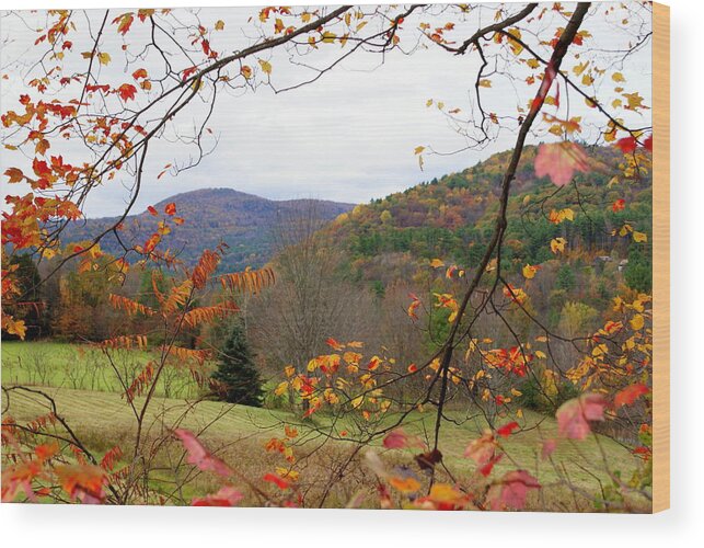 Fall Wood Print featuring the photograph Fall in Vermont by Lois Lepisto