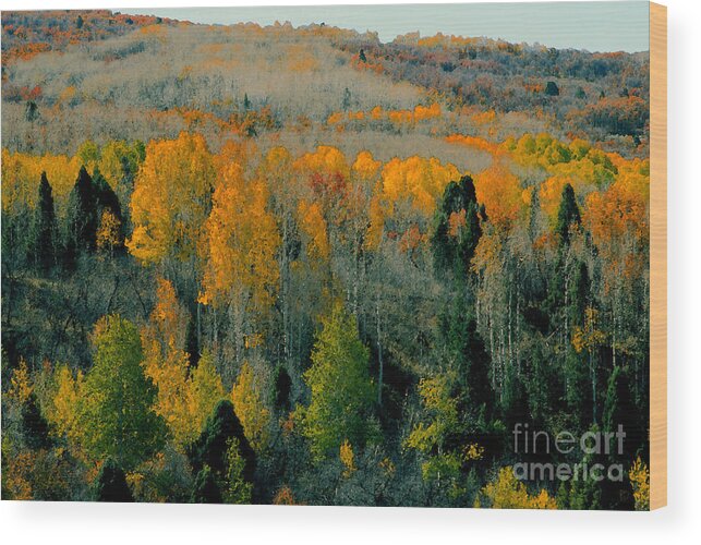 Fall Wood Print featuring the painting Fall ridge by David Lee Thompson