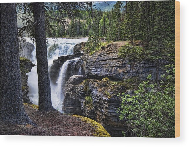 Canada Wood Print featuring the photograph Falls 3 by Wayne Sherriff