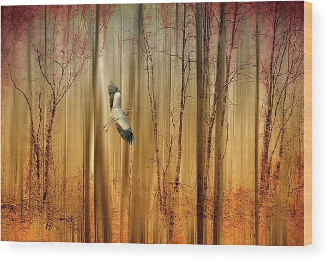 Fantasy Wood Print featuring the photograph Fantasy Flight by Jessica Jenney