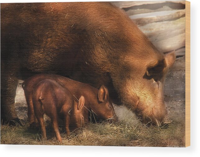 Savad Wood Print featuring the photograph Farm - Pig - Family Bonds by Mike Savad