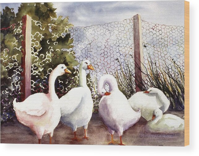 Animal Wood Print featuring the painting Fenced In Quackers by Connie Williams
