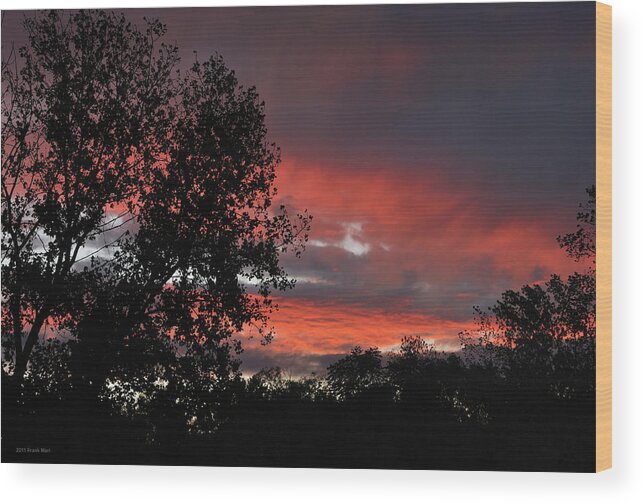 Landscape Wood Print featuring the photograph Fire In The Sky 1 by Frank Mari