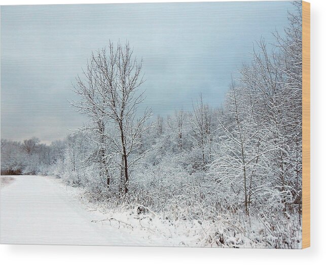 Winter Wood Print featuring the photograph First Here by Wild Thing