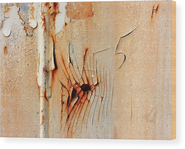 Five Wood Print featuring the photograph FiveH by Barbara White