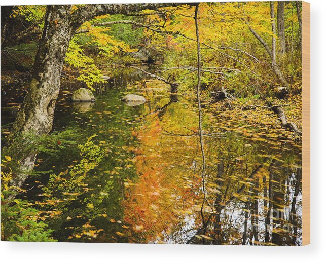 Floating Wood Print featuring the photograph Floating Down Stream by Alana Ranney