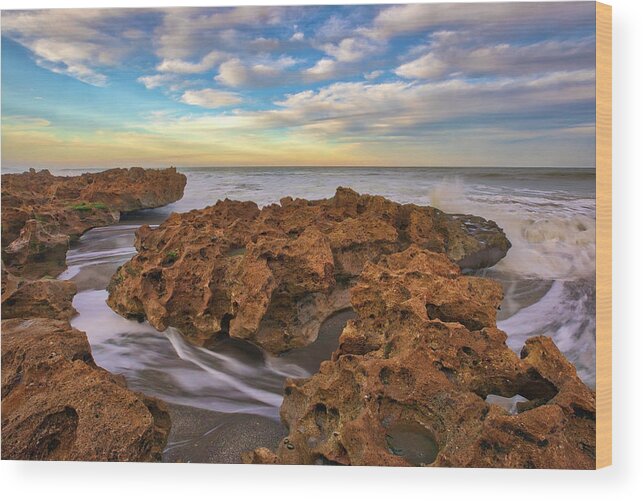 Ocean Reef Park Wood Print featuring the photograph Florida Riviera Beach Ocean Reef Park by Juergen Roth