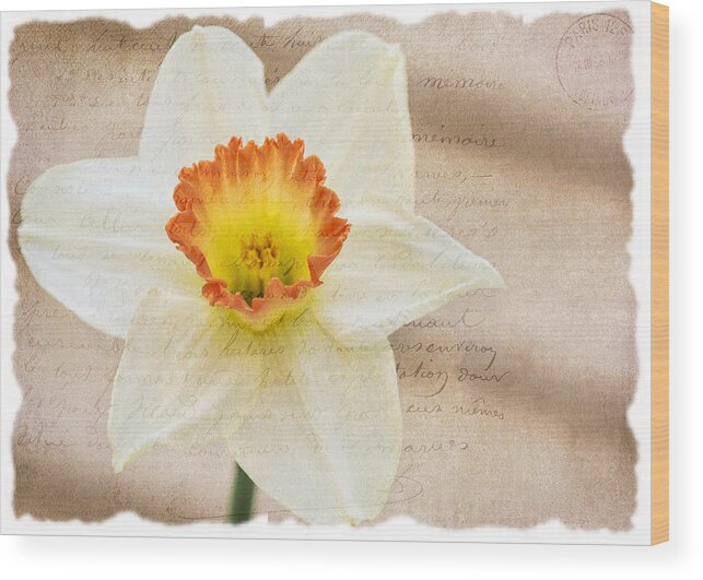 Flower Wood Print featuring the photograph Flower 0440 by Cathy Kovarik