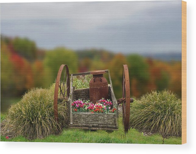 Vintage Cart Wood Print featuring the photograph Flower Wagon by Mary Timman