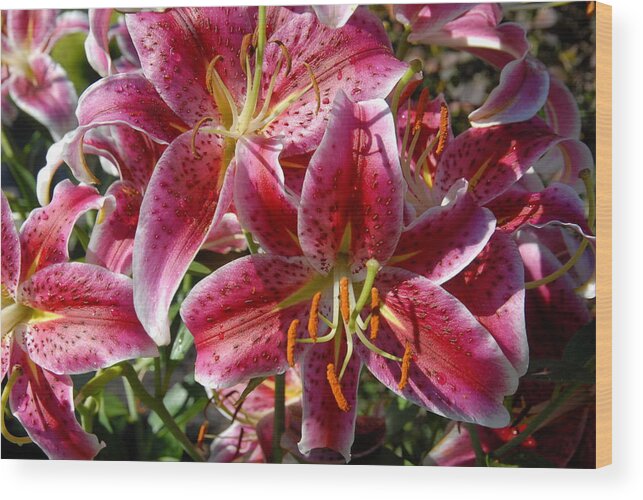 Lily Wood Print featuring the photograph Flowers 731 by Joyce StJames