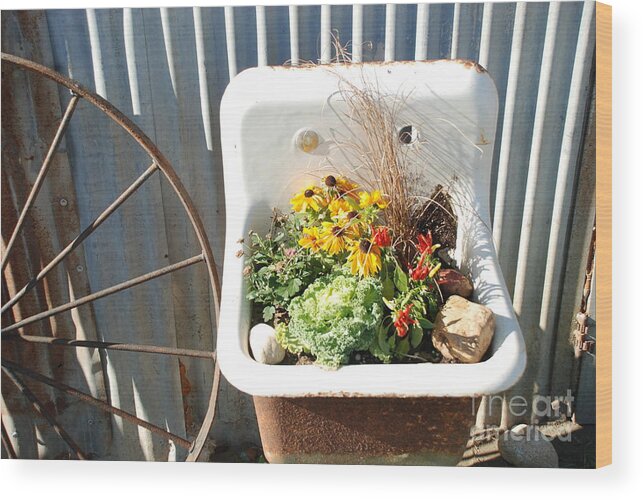 Flowers Wood Print featuring the photograph Flowers In Sink by Jim Goodman