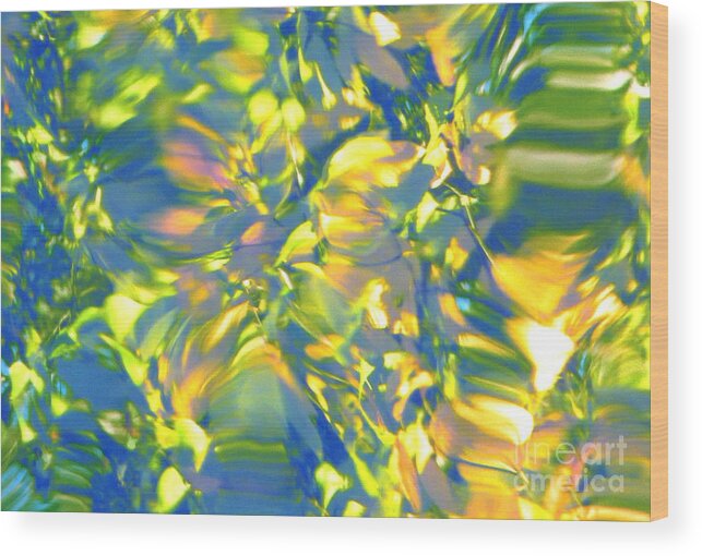 Abstract Wood Print featuring the photograph Fluttering of Color by Sybil Staples