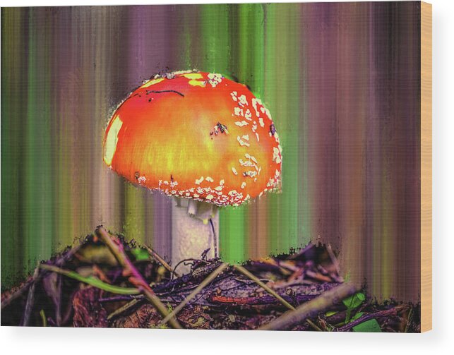 Fly Agaric Wood Print featuring the photograph Fly Agaric #g7 by Leif Sohlman