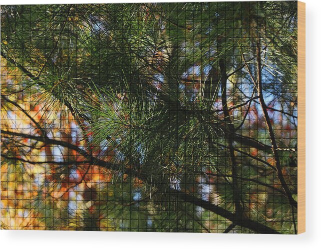 Autumn Colors Wood Print featuring the photograph Foliage Tilework by Margie Avellino