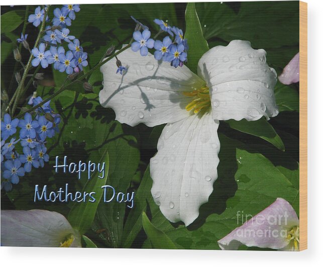 Flowers Wood Print featuring the photograph For-Get-Me-Not by Deborah Johnson