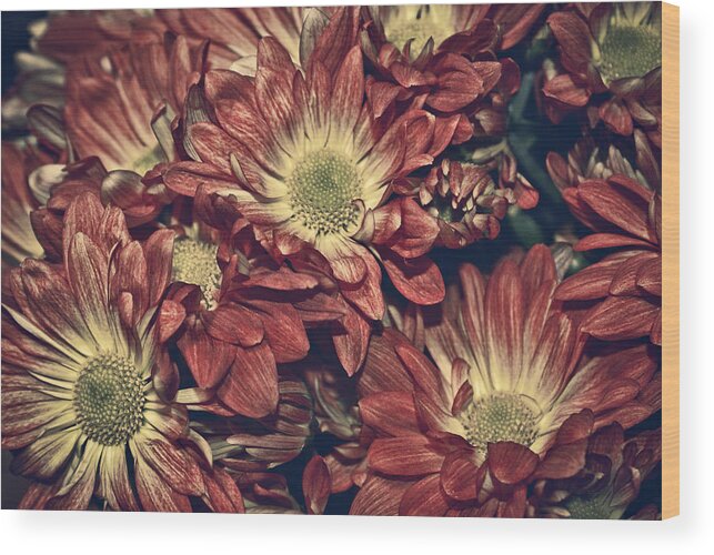 Daisies Wood Print featuring the photograph Foulee de petales - 04b by Variance Collections