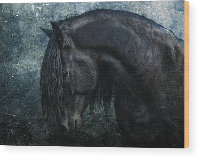 Animals Wood Print featuring the photograph Frisian stallion by Joachim G Pinkawa