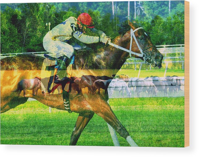 Horse Racing Wood Print featuring the photograph From pasture to winners circle by David Lee Thompson