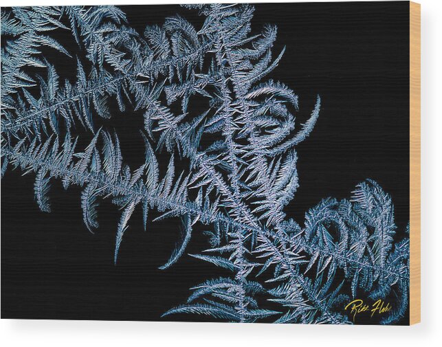 Frost Wood Print featuring the photograph Frost on Black by Rikk Flohr
