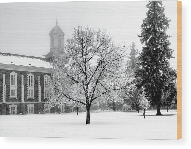 Frost Wood Print featuring the photograph Frosted Tree and the Tabernacle by David Andersen