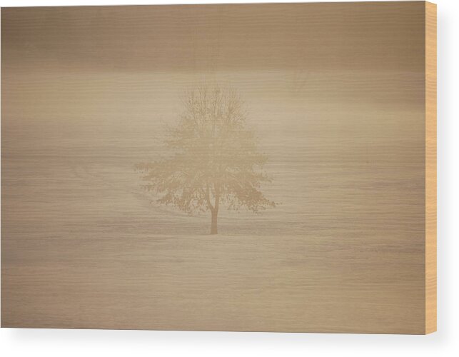 Landscape Wood Print featuring the photograph Frozen natural sepia horizontal by Peter McIntosh