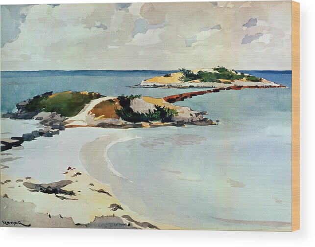 Winslow Homer Wood Print featuring the drawing Gallows Island by Winslow Homer