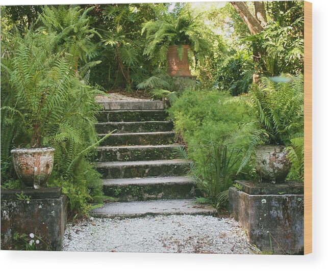 Photo For Sale Wood Print featuring the photograph Garden Stairs by Robert Wilder Jr