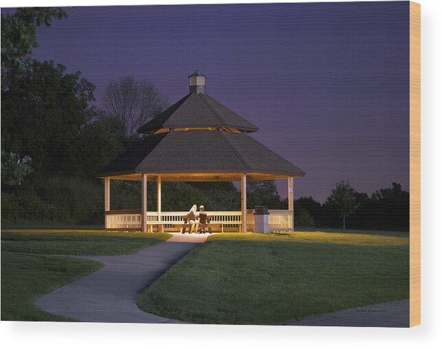 Gazebo Wood Print featuring the photograph Gazebo During The Blue Moments Frankfort IL by Thomas Woolworth