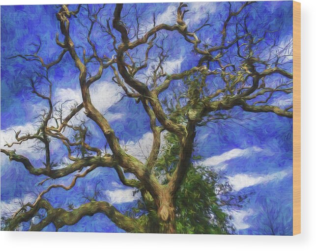 Tree Wood Print featuring the photograph Starry Afternoon by Jerry Gammon