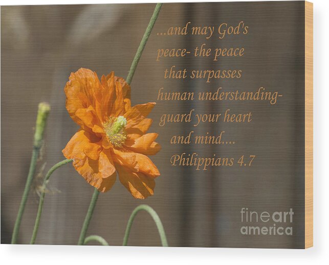  Wood Print featuring the photograph God's Peace by Terrie Sizemore