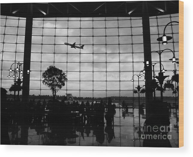 Flying Wood Print featuring the photograph Going Home by David Lee Thompson