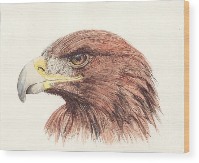 Golden Wood Print featuring the painting Golden Eagle by Morgan Fitzsimons