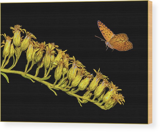 Goldenrod Wood Print featuring the photograph Goldenrod by Cathy Kovarik