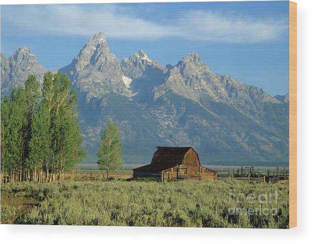 Barn Wood Print featuring the photograph Grand Teton National Park, Wyoming by Kevin Shields