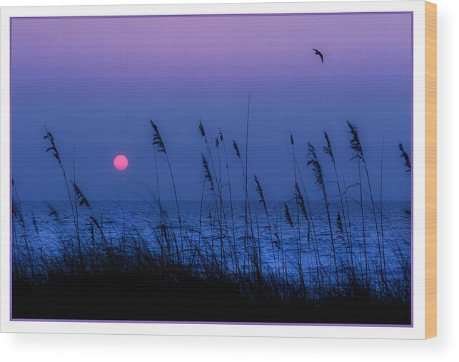  Grass Wood Print featuring the photograph Grasses frame the setting sun in Florida by Mal Bray