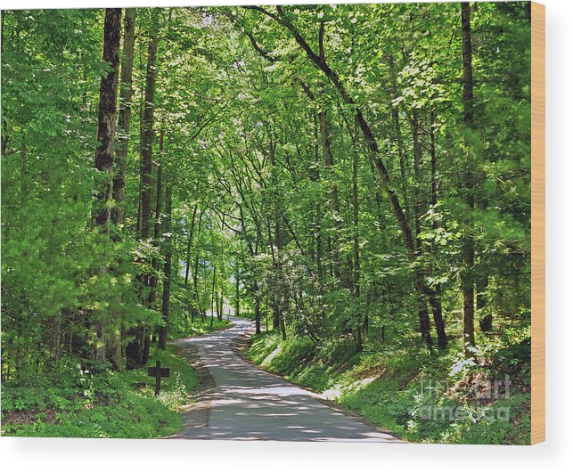 Woods Wood Print featuring the photograph Green Beauty In The Cove by Lydia Holly