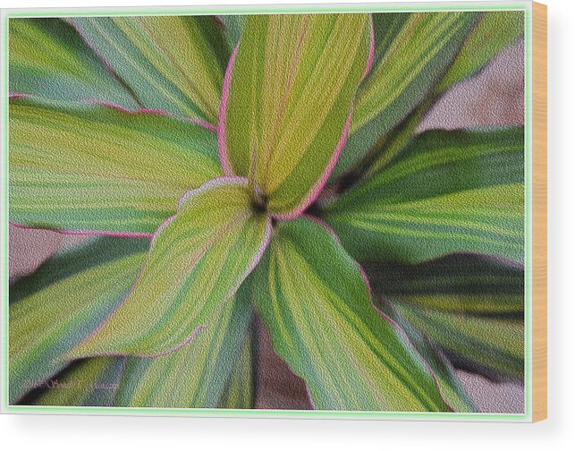 Ornamental Plant Wood Print featuring the digital art Green Blades by Sonali Gangane