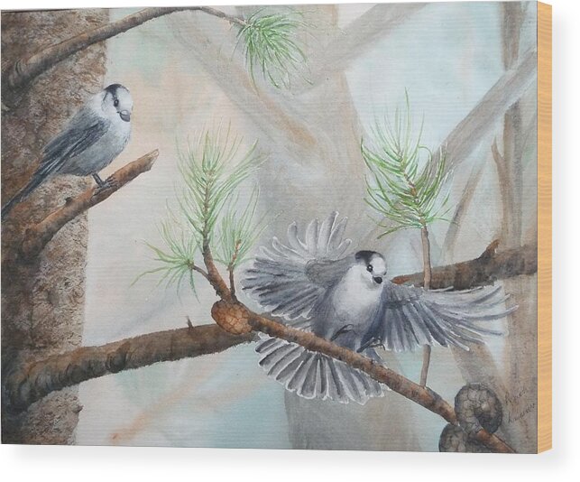 Grey Jay Wood Print featuring the painting Grey Jays in a Jack Pine by Ruth Kamenev