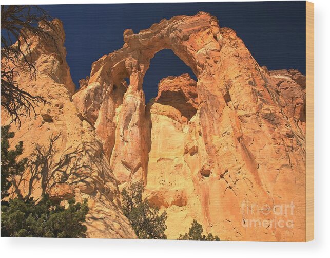 Grosvenor Arch Wood Print featuring the photograph Grosvenor Arch Landscape by Adam Jewell