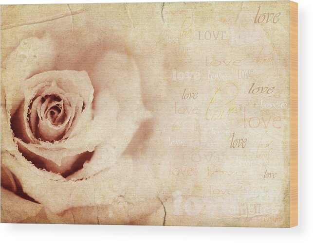 Anniversary Wood Print featuring the photograph Grungy rose background by Anna Om
