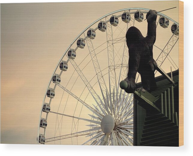 Hanging Wood Print featuring the photograph Hanging on the Wheel by Valentino Visentini