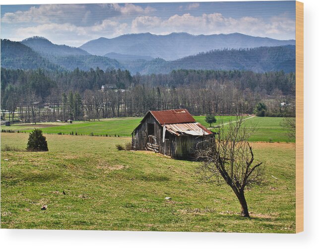 Hanging Wood Print featuring the photograph Hanging Tree and Barn by Douglas Barnett