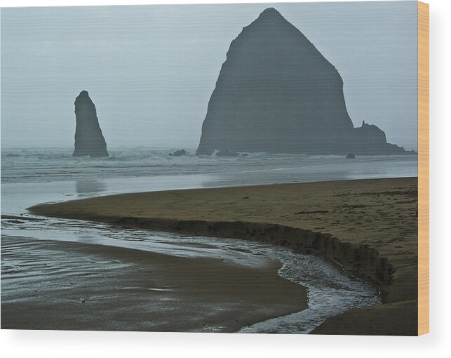Cannon Beach Wood Print featuring the photograph Haystack Rock by Dale Stillman