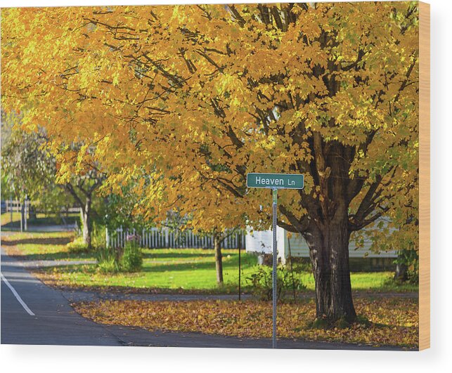 Vermont Wood Print featuring the photograph Heaven Lane by Tim Kirchoff