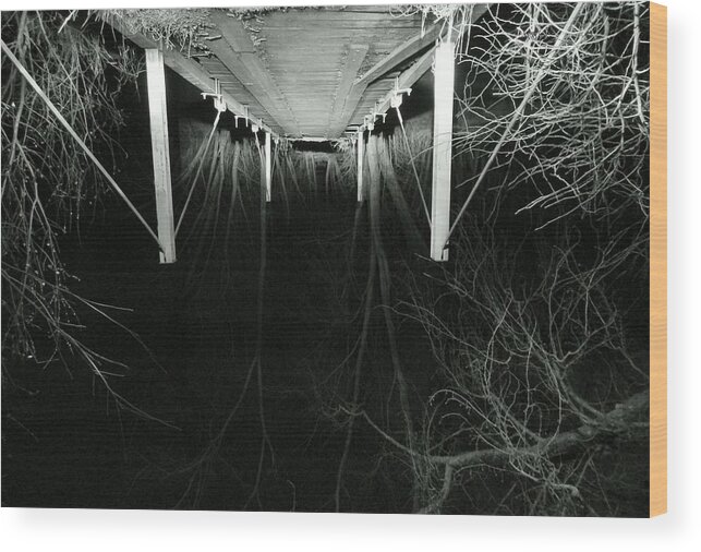 Spring Wood Print featuring the photograph Car Lights and Heels Over Head In Love by Wild Thing