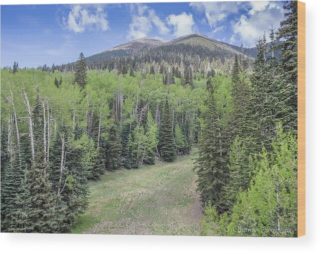 Spruce-fir Forest Wood Print featuring the photograph High Peaks Skies by Aaron Burrows