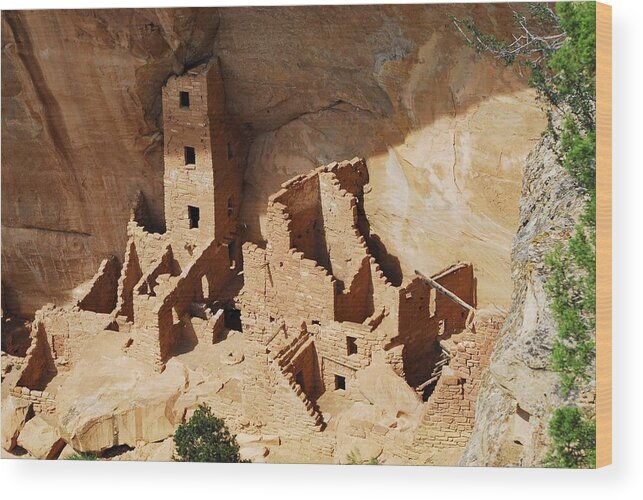 Cliff Dwellers Wood Print featuring the photograph High Rise Livin by Brad Hodges
