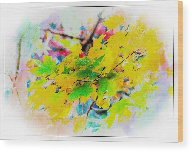 Fall Wood Print featuring the photograph Hint of Fall by Ches Black